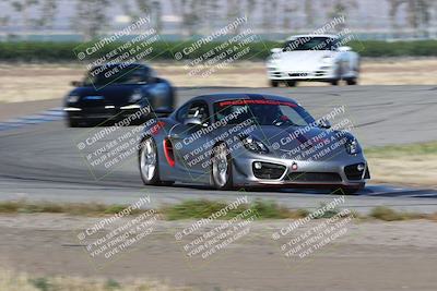 media/May-03-2024-PCA Central Coast (Fri) [[eaa7da0ee1]]/Yellow Group/Session 1 (Grapevine)/